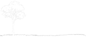 Outdoor Solutions Wisconsin Logo