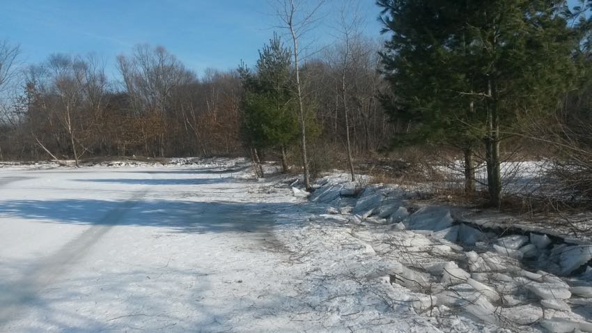 Watson Pond Cutting and Treating