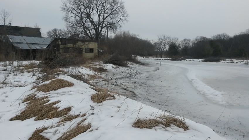 Watson Pond After Cutting