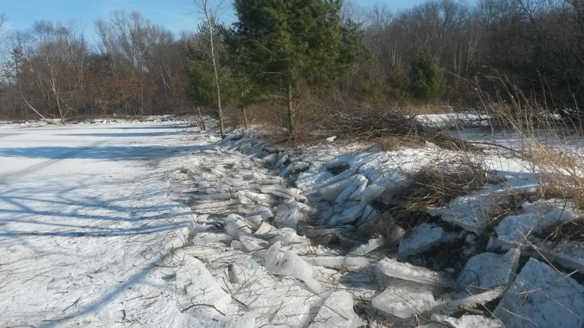 Hand Cutting Around Watson Pond