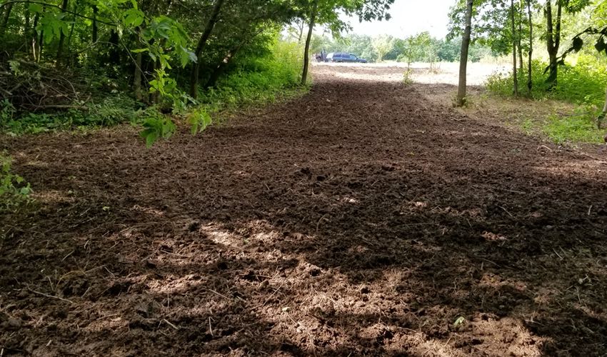 More Food Plot Prep