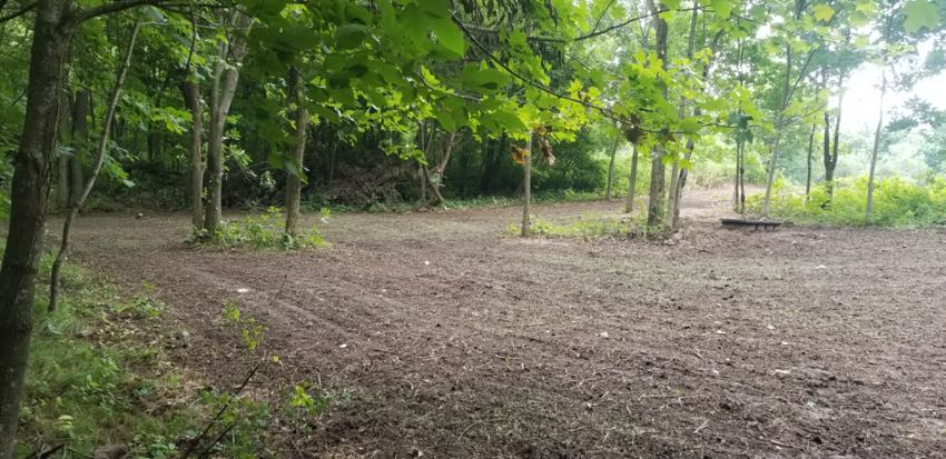 Harms Food Plot Freshly Seeded