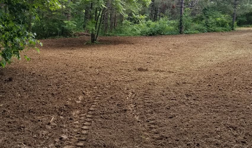 Food Plot Clearing Overgrowth