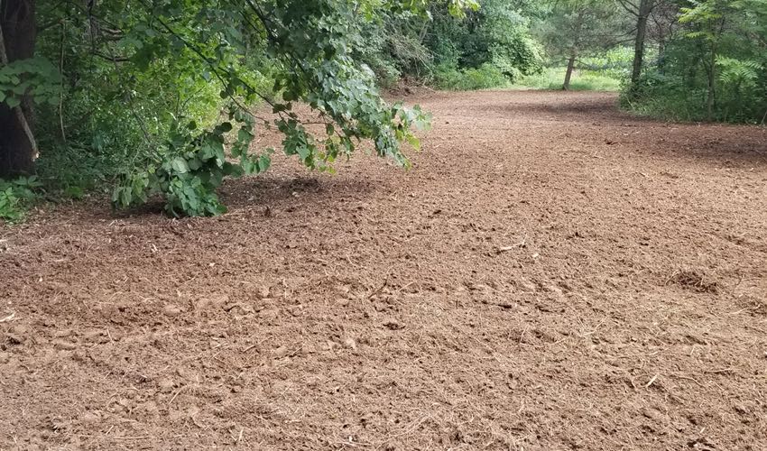 Food Plot Seedbed Preparation