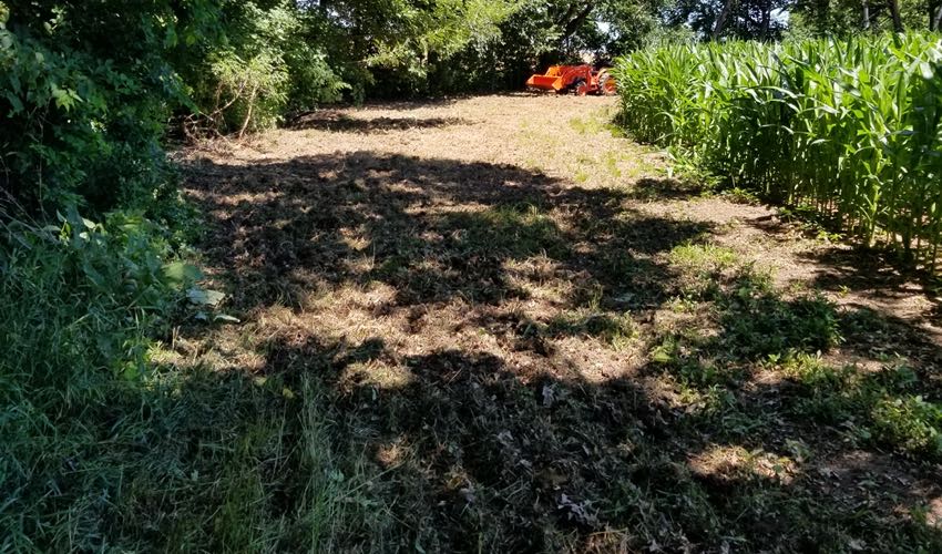 Food Plot Project Second Area