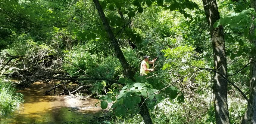 Streambank Planted Polinator Mix