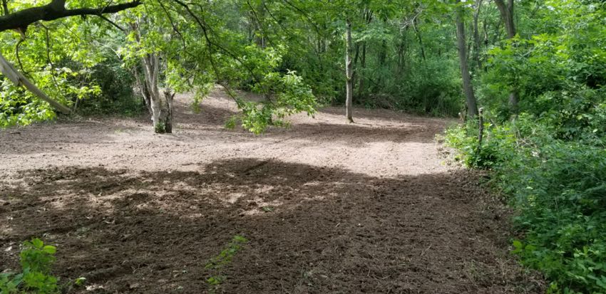 Harms Small Hidden Food Plot